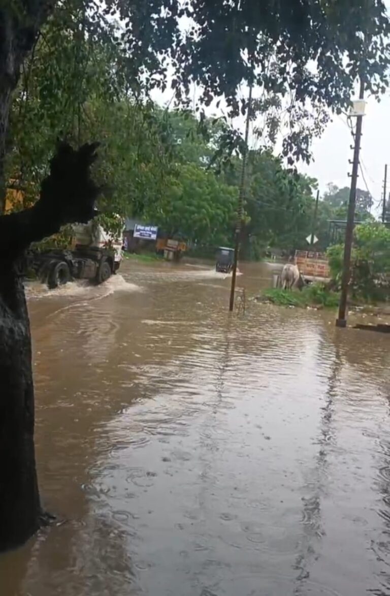 बरसात ने सलोंन नगर पंचायत की व्यवस्थाओं की खोली पोल