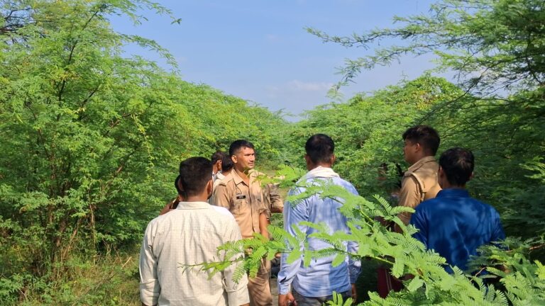 संदिग्ध परिस्थितियों में झाड़ियों के बीच  पेड़ से लटकता मिला युवक का शव