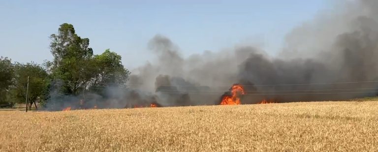 विद्युत शार्ट सर्किट से किसान की फसल जलकर नष्ट