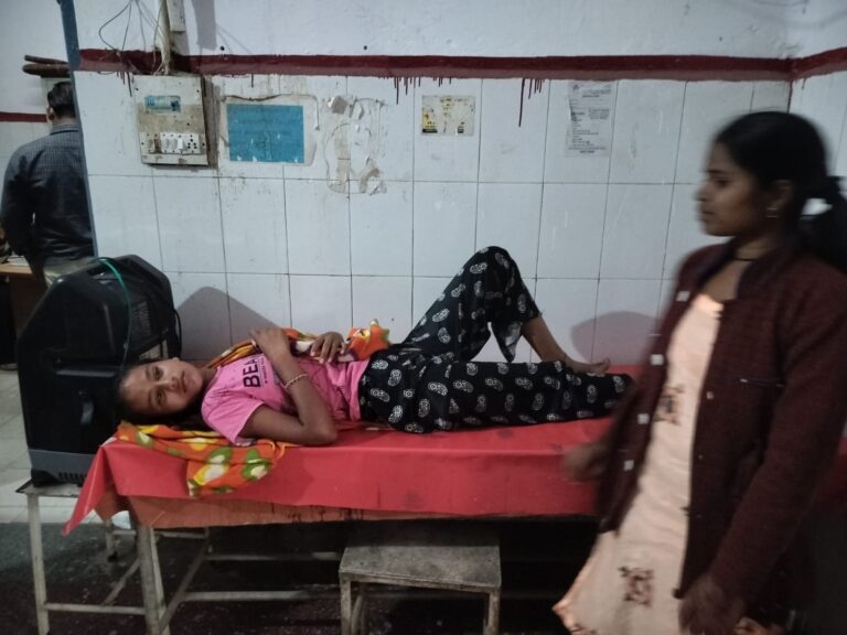 मधुमक्खियों के हमले से खेत से लौट रही थी किशोरियां जख्मी