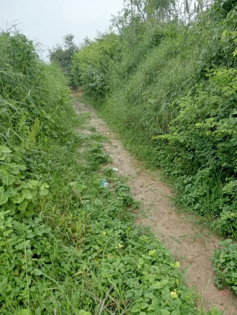 सारीपुर रजबहा में पानी का इंतजार, फसलों की सिचाई हो रही प्रभावित