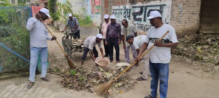 स्वच्छता ही सेवा के तहत ग्राम पंचायतों में चलाया जा रहा वृहद स्वच्छता अभियान