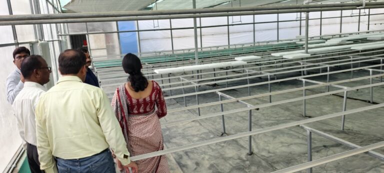 डीएम ने किया कृषि विज्ञान केंद्र दरियापुर में स्थापित हाईटेक नर्सरी का निरीक्षण