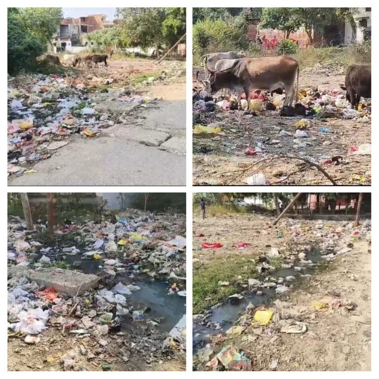 इन्द्रा नगर मोहल्ले में गंदगी का लगा अंबार, मोहल्लेवासी परेशान,नगर पालिका प्रशासन मस्त