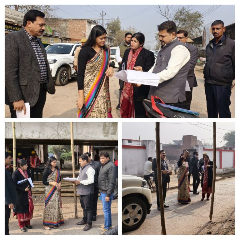 डीएम ने क्षतिग्रस्त गल्ला मंडी उपरिगामी सेतु का किया निरीक्षण