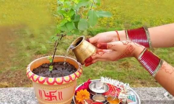 Tulsi Pujan Diwas 2025: 25 दिसंबर को है तुलसी पूजन दिवस,जानिए इसकी पूजा विधि और शुभ मुहूर्त का समय