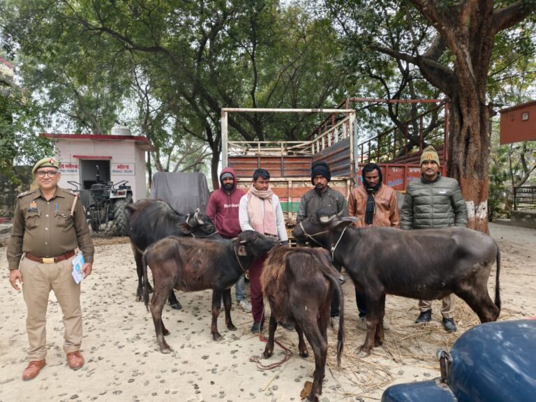 नसीराबाद पुलिस ने जानवरो से भरी पिकअप व 4 अभियुक्तों को किया गिरफ्तार