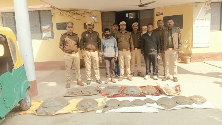 गदागंज पुलिस द्वारा कछुआ तस्करी पर बड़ी कार्यवाही, 15 कछुओं संग तस्कर को किया गिरफ्तार