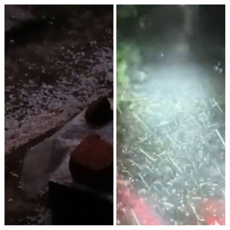 तेज आंधी, बारिश और ओलावृष्टि ने किसानों की खड़ी फसलों को पहुंचाया भारी नुकसान