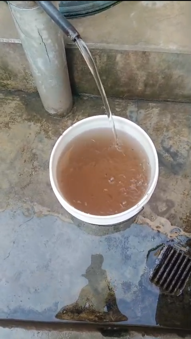 सप्लाई के पानी में निकल रहा है दूषित पानी और कबूतर के पंख, ग्रामीणों में दहशत