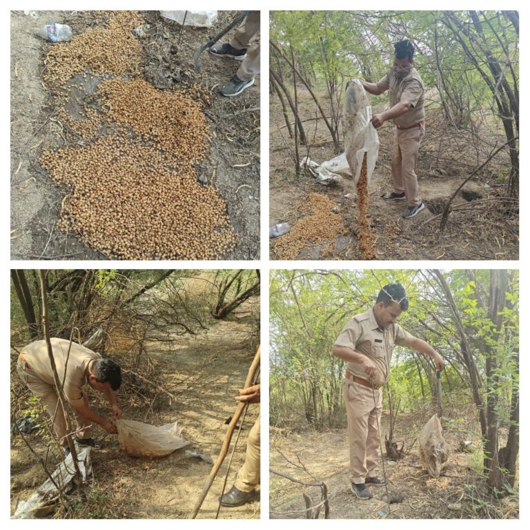 150 किलो लहन,28 लीटर अवैध कच्ची शराब बरामद, 02 पर मुकदमा दर्ज़