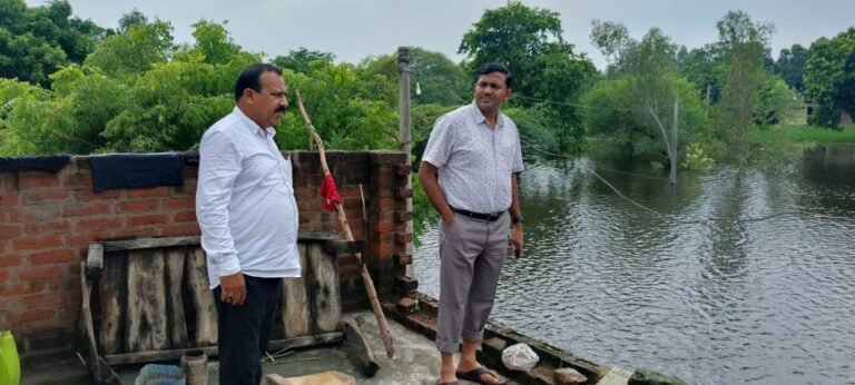 रायबरेली : बाढ़ के बीच प्रशासन की मुस्तैदी, 254 गोवंश सुरक्षित स्थानों पर शिफ्ट