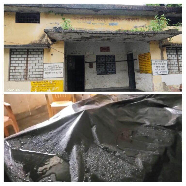 परशदेपुर के जर्जर पशु चिकित्सालय में टपक रही छत, पॉलीथिन के सहारे बच रहीं दवाइयां