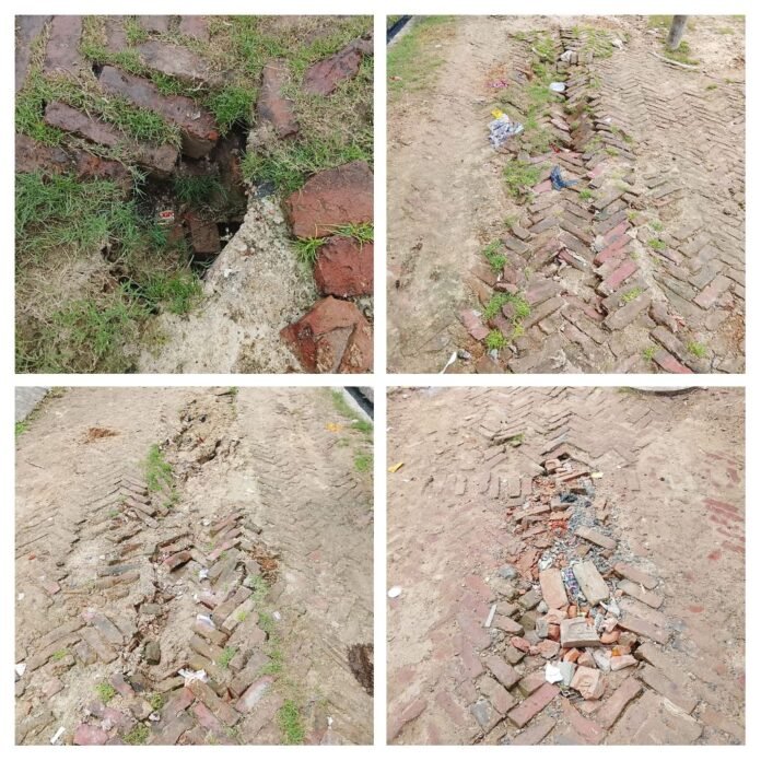 IMG_20260906_131252-COLLAGE