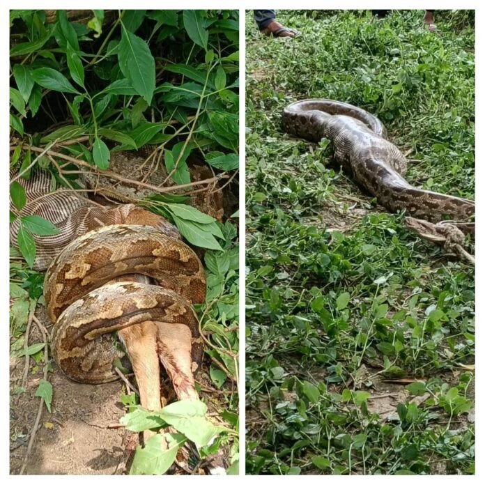 IMG_20260921_150154-COLLAGE